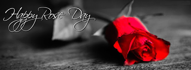 Happy Rose Day HD Facebook Cover Photo