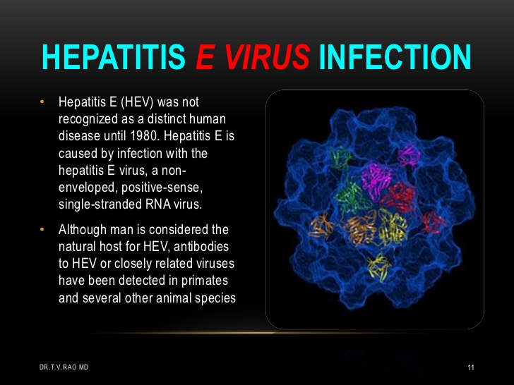 Medical Info Public Guidelines Hepatitis E Facts For Awareness Medical Info Public Guidelines Hepatitis E Facts For Awareness