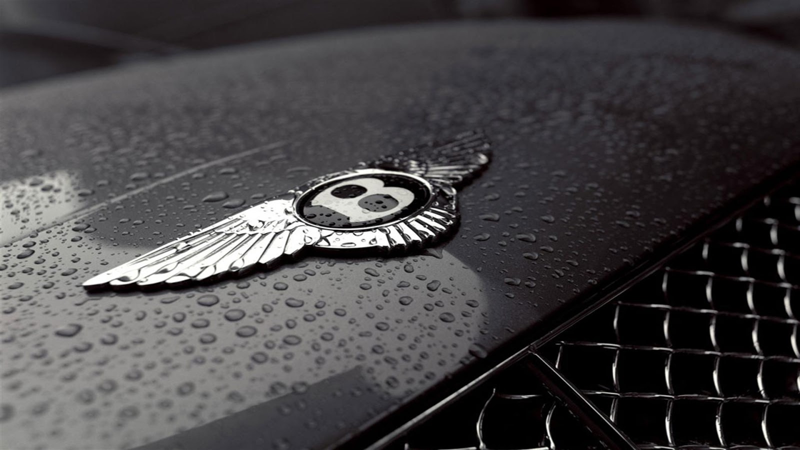 Bentley Logo Wallpaper Bentley Logo Wallpaper
