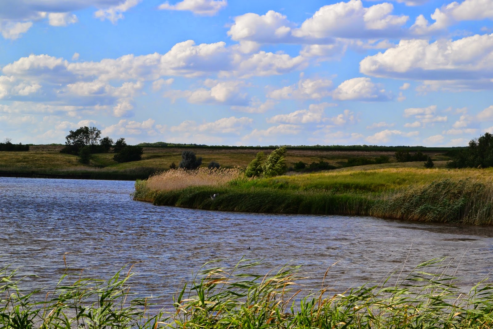 Раздорская пляж