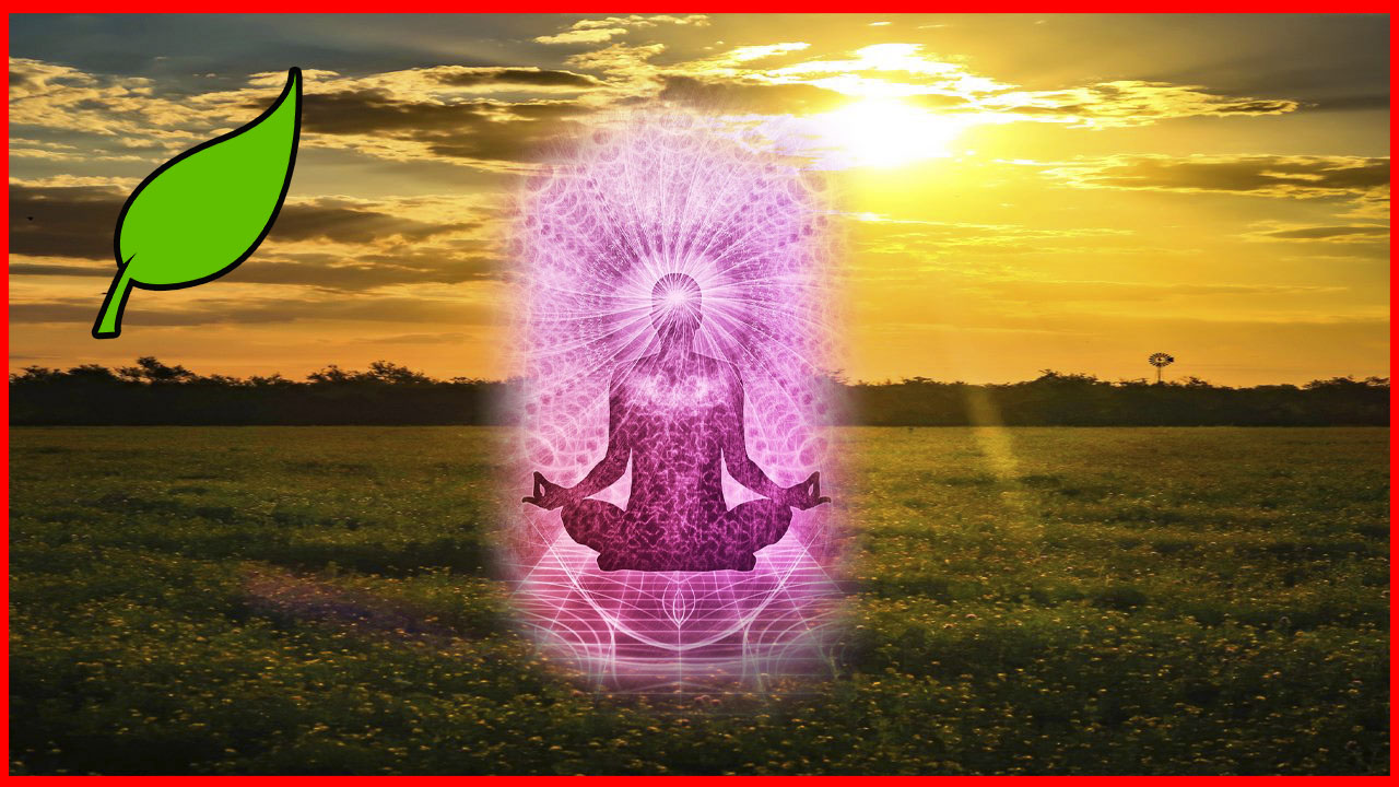 Meditation Music For Sleep Free Sleep