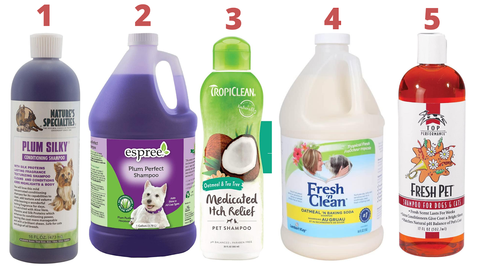 Best professional dog grooming shampooWhich Shampoo is my favorite.