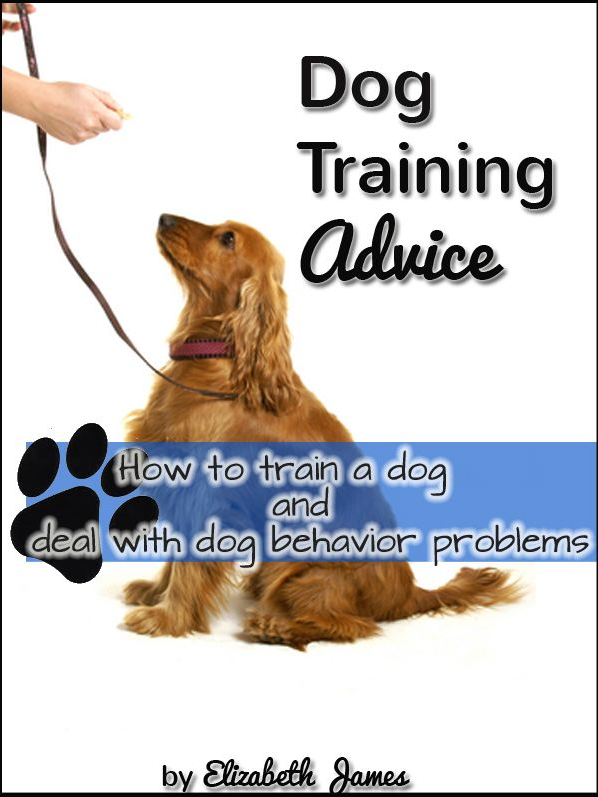 Dog Training Advice read for better