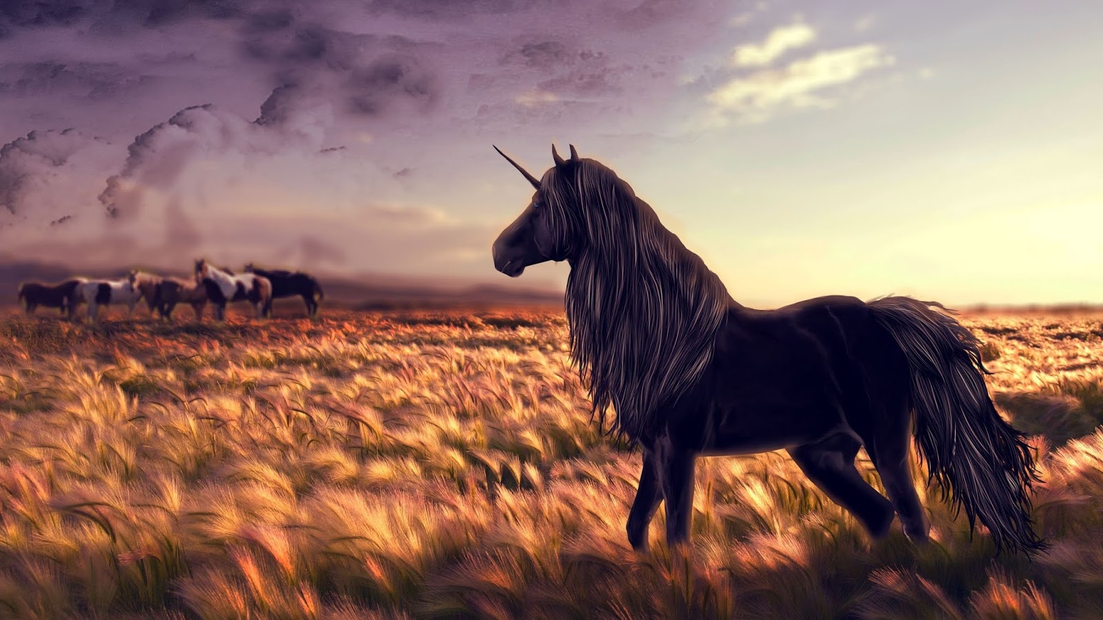 Wallpaper Unicorn Horse Grass Field