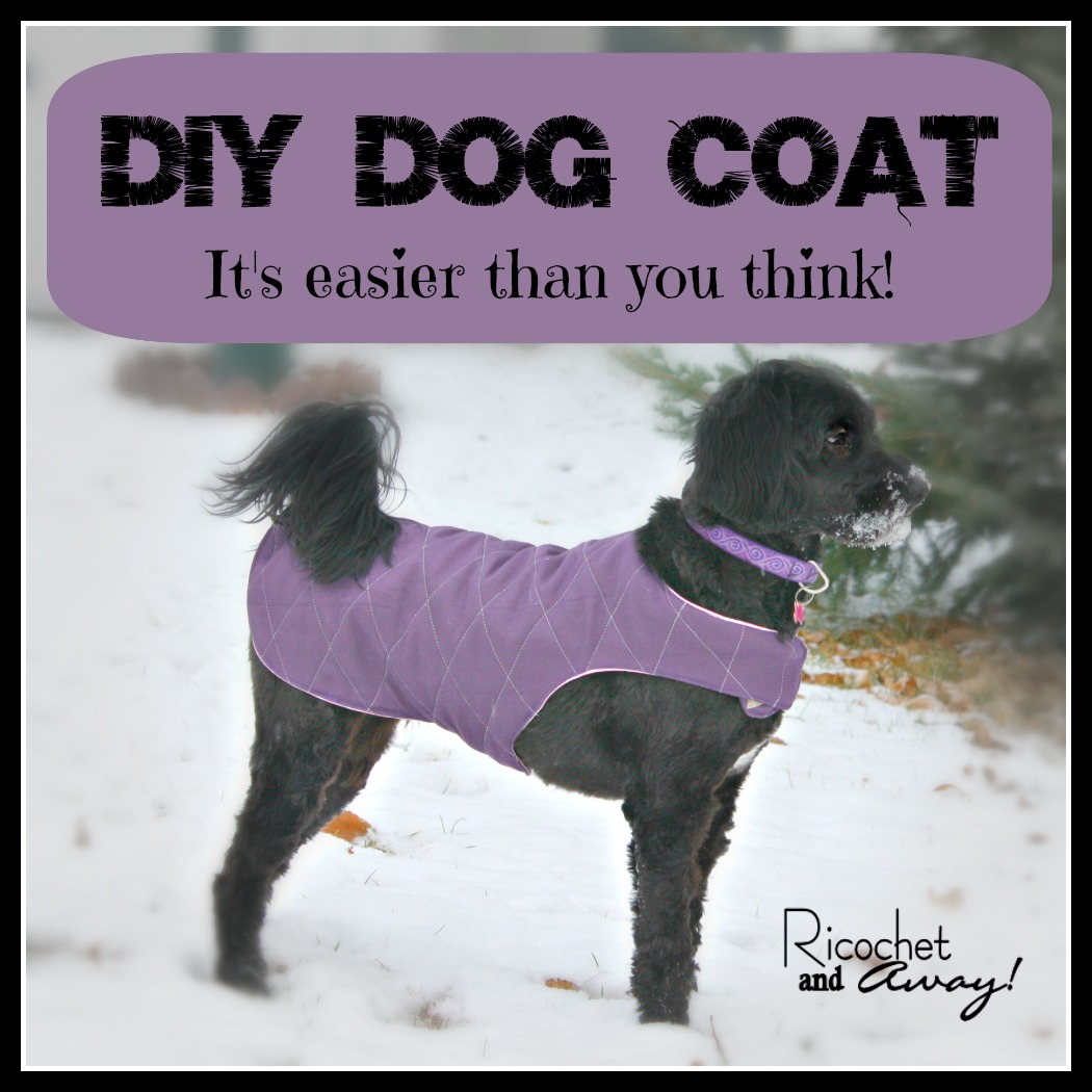 Ricochet and Away!: DIY Dog Coat