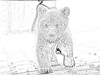 bear coloring pages holiday.filminspector.com