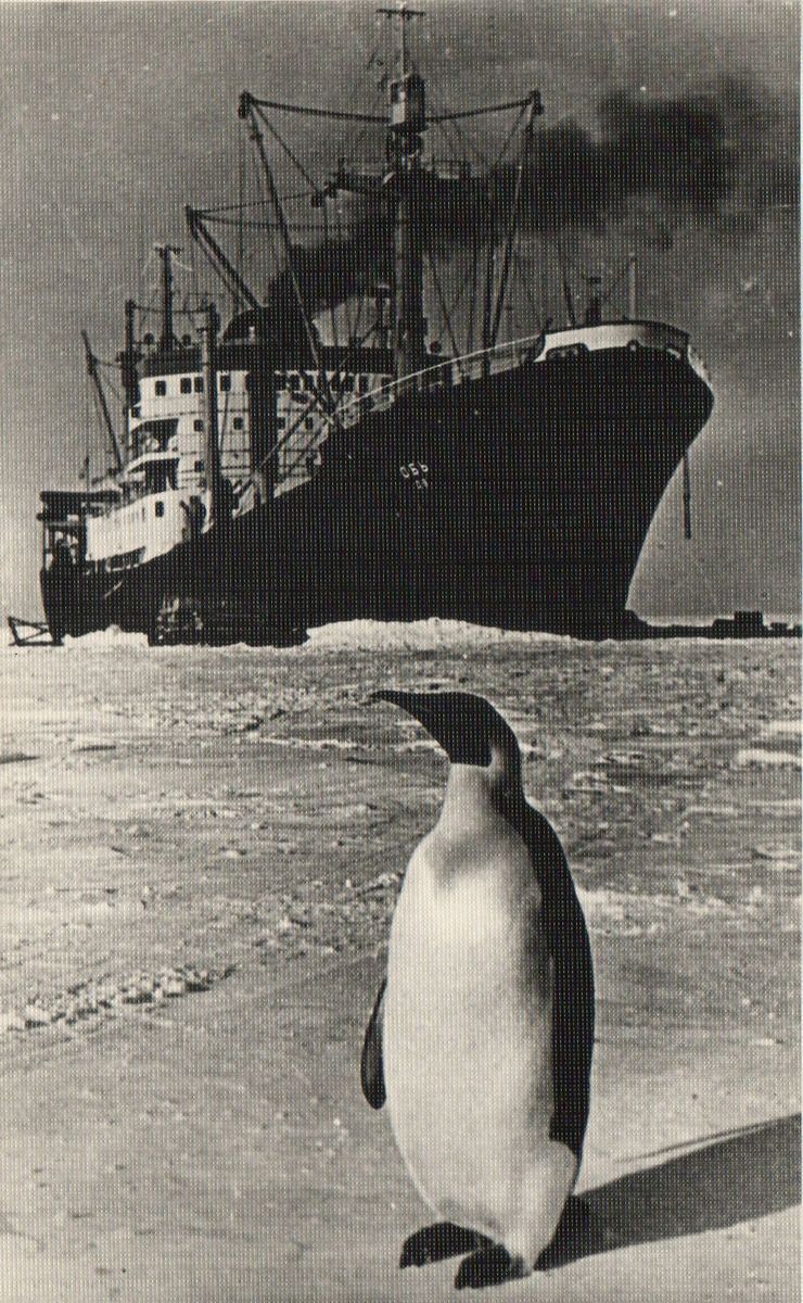 В середине 20 века антарктида для многих. Японская антарктическая Экспедиция 1910. Освоение Антарктиды. Первые исследователи Антарктиды. Древняя Антарктида.