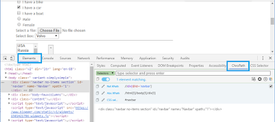 ChroPath to find xpath of element