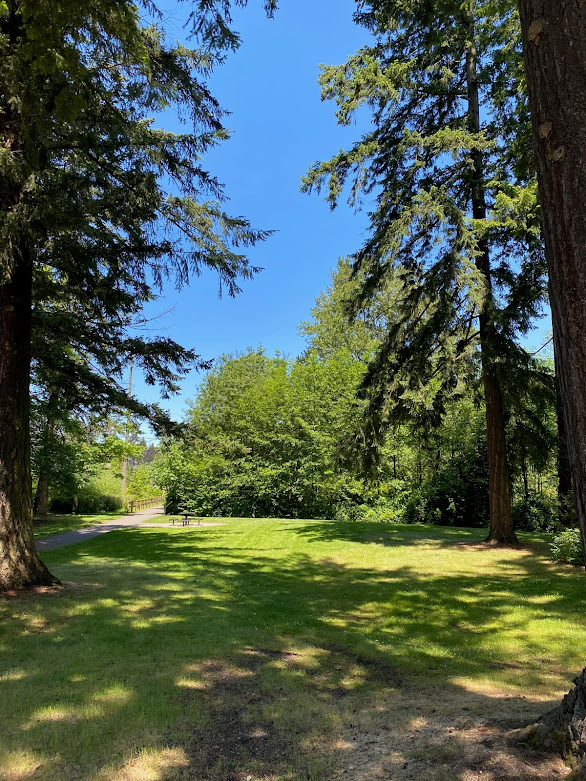 Shoreline Area News More to Cromwell Park than meets the eye