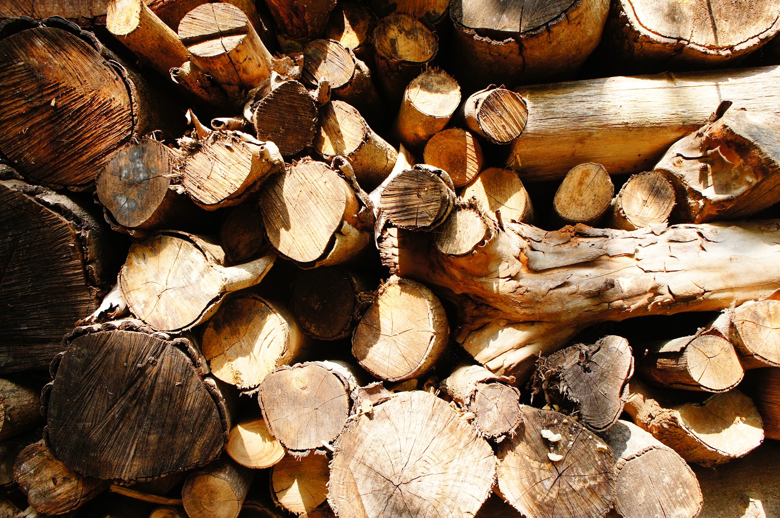 炭烤室的木柴