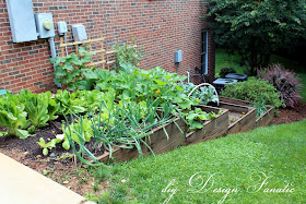 raised beds, raised beds on a slope, vegetable garden, building project, diyDesignFanatic.com