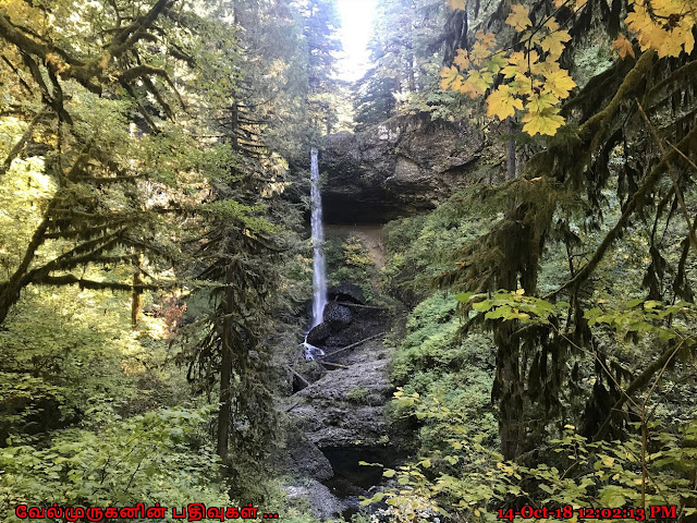 North Falls Trail Salem Oregon