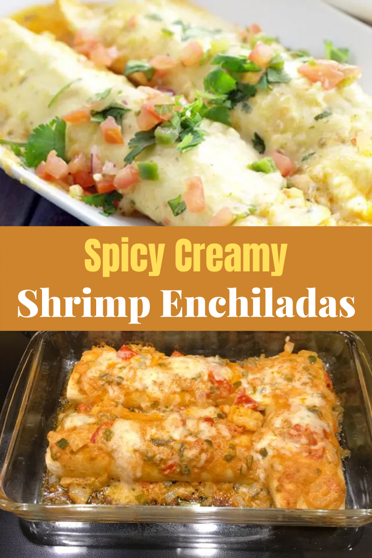 Spicy Creamy Shrimp Enchiladas - Dinner Recipesz