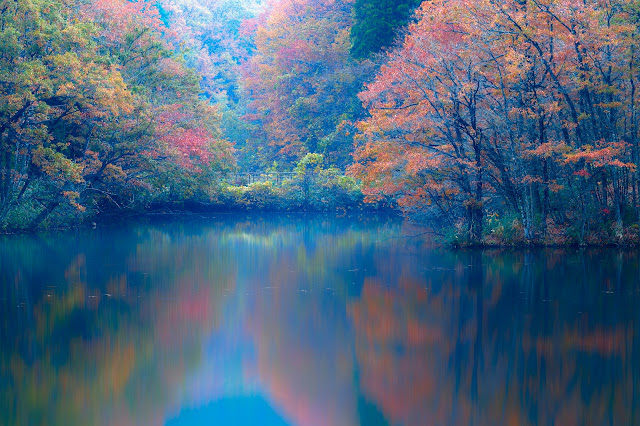 #photo #landscape #sigma #foveon #sdquattroh #japan #yamagata #tsuruoka #写真 #風景写真 #山形帝國 #山形県 #鶴岡市