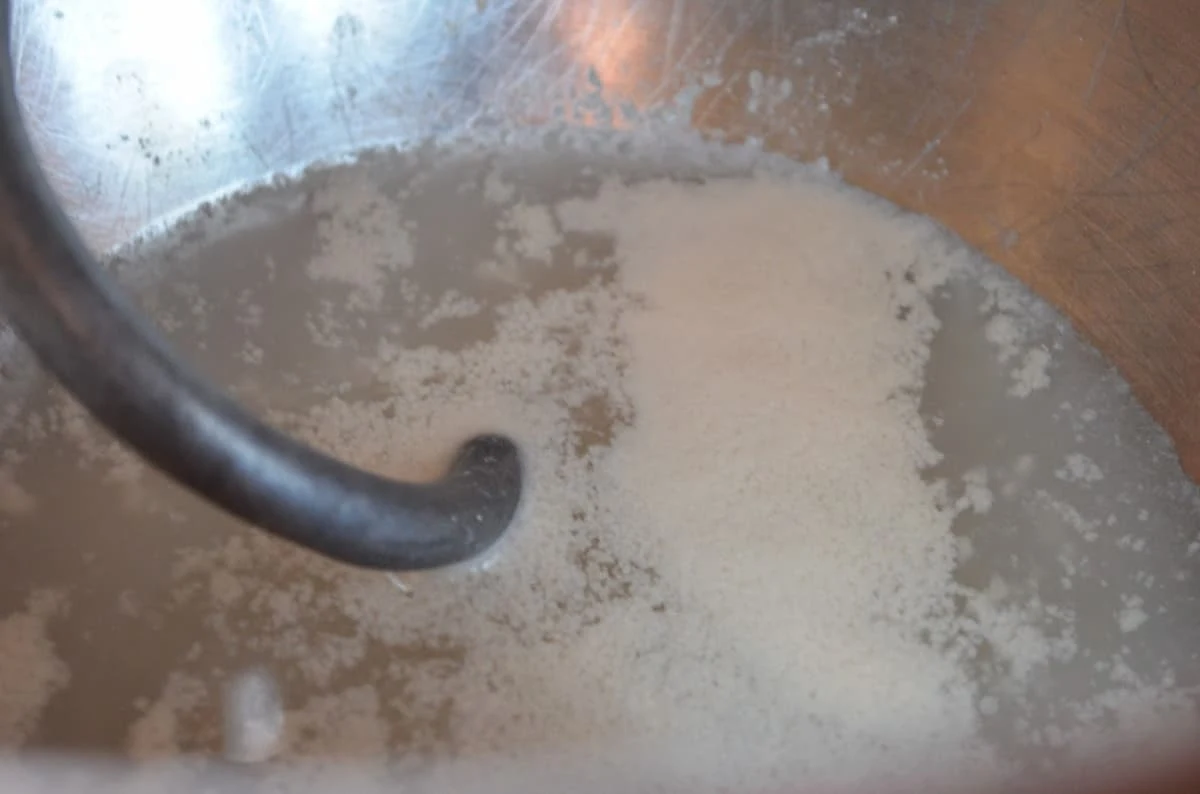 Foamy yeast and water in a mixing bowl fitted with a dough hook.