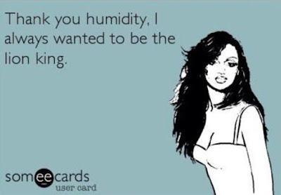 summer funny, bad hair funny, bad hair meme, bad hair comic, humidity meme, humidity comic, someecard, hair stylist funny, salon funny