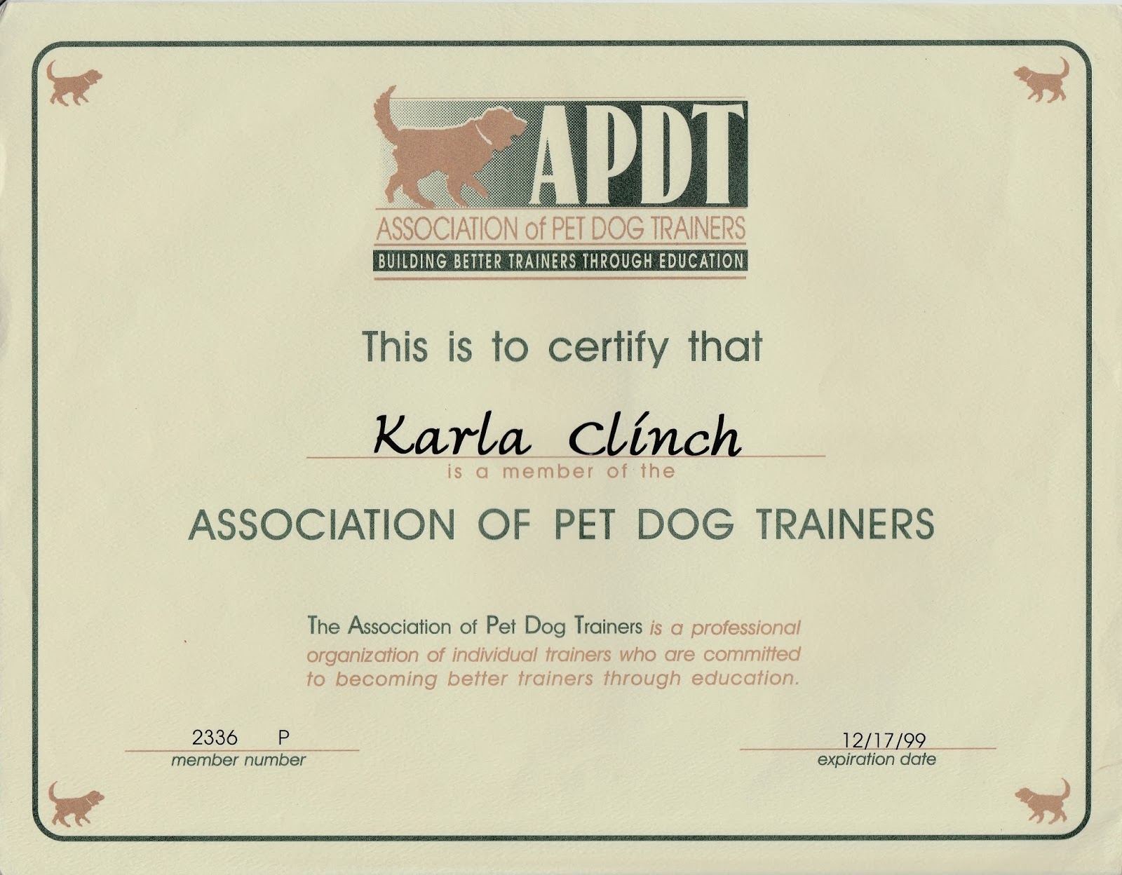 Real Life Dog Training