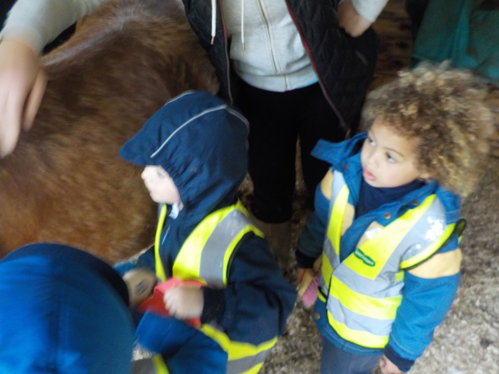 Windhill21 Daisy May's Farm