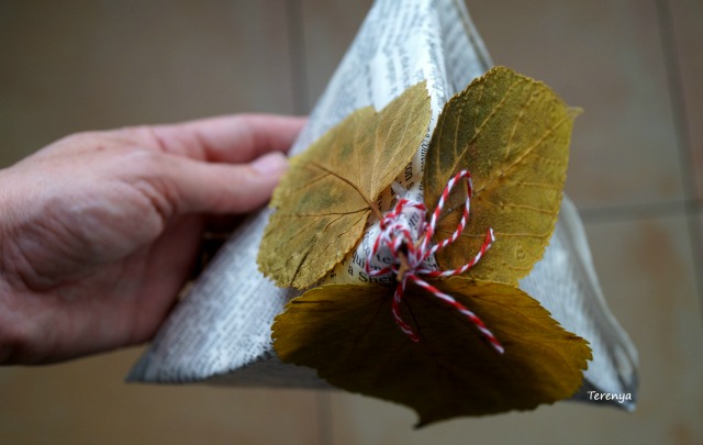 empaquetado-creativo-packaging-hojas