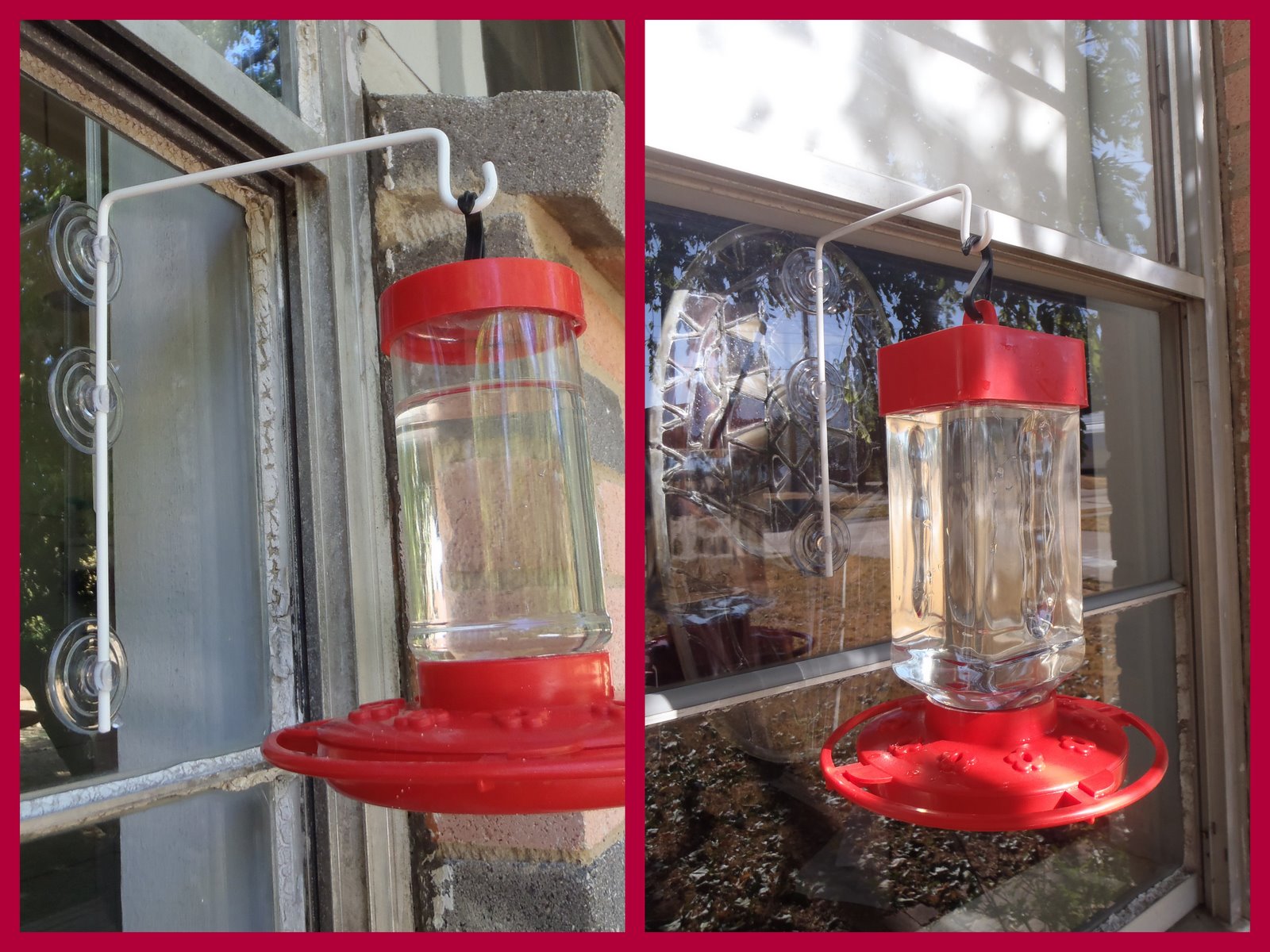 The Empty Nest New Hummingbird Feeder Hangers