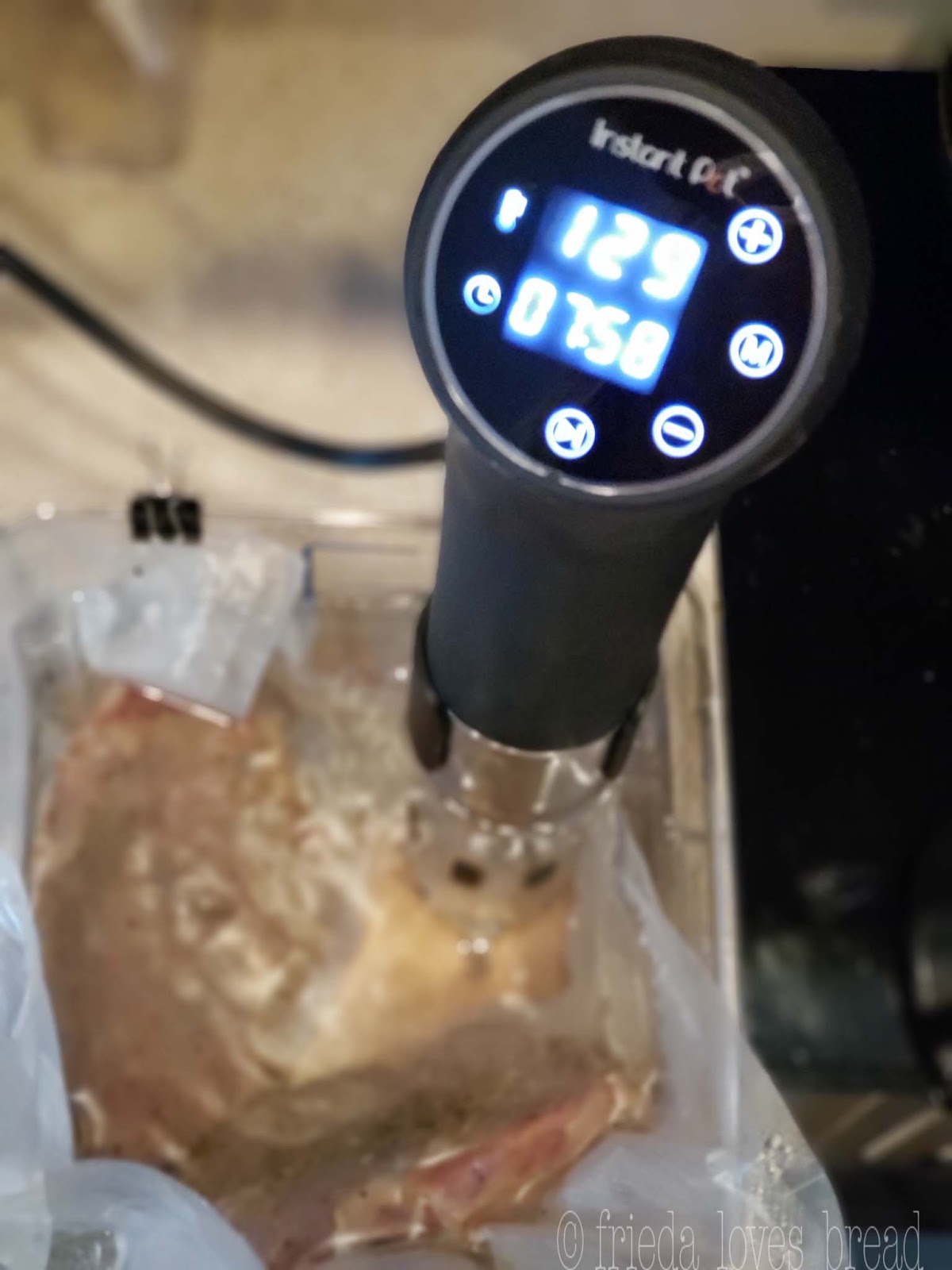 Frieda Loves Bread Sous Vide Steak 101 Instant Pot Immersion Circulator
