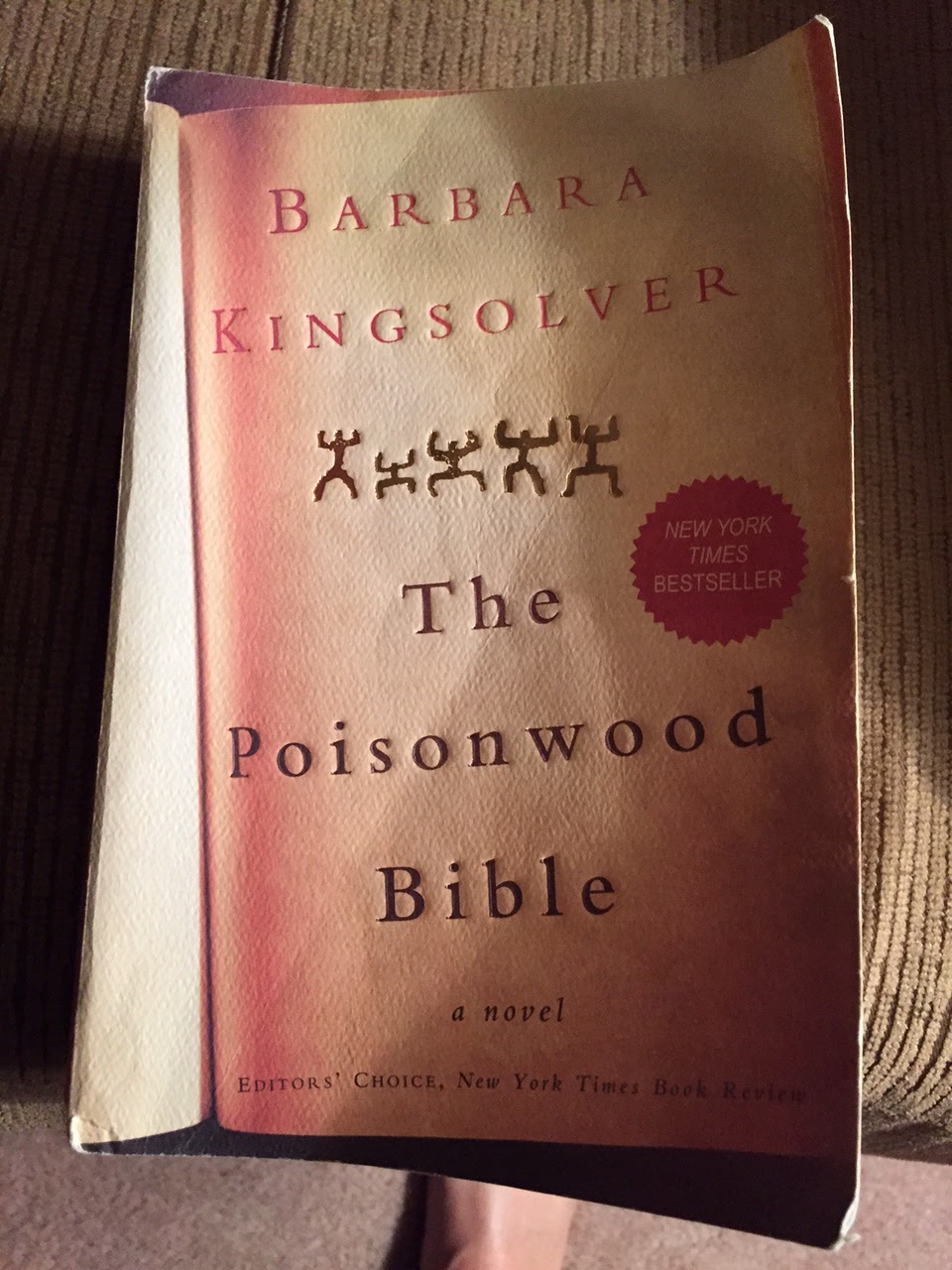 from-sinking-sand-thoughts-on-the-poisonwood-bible