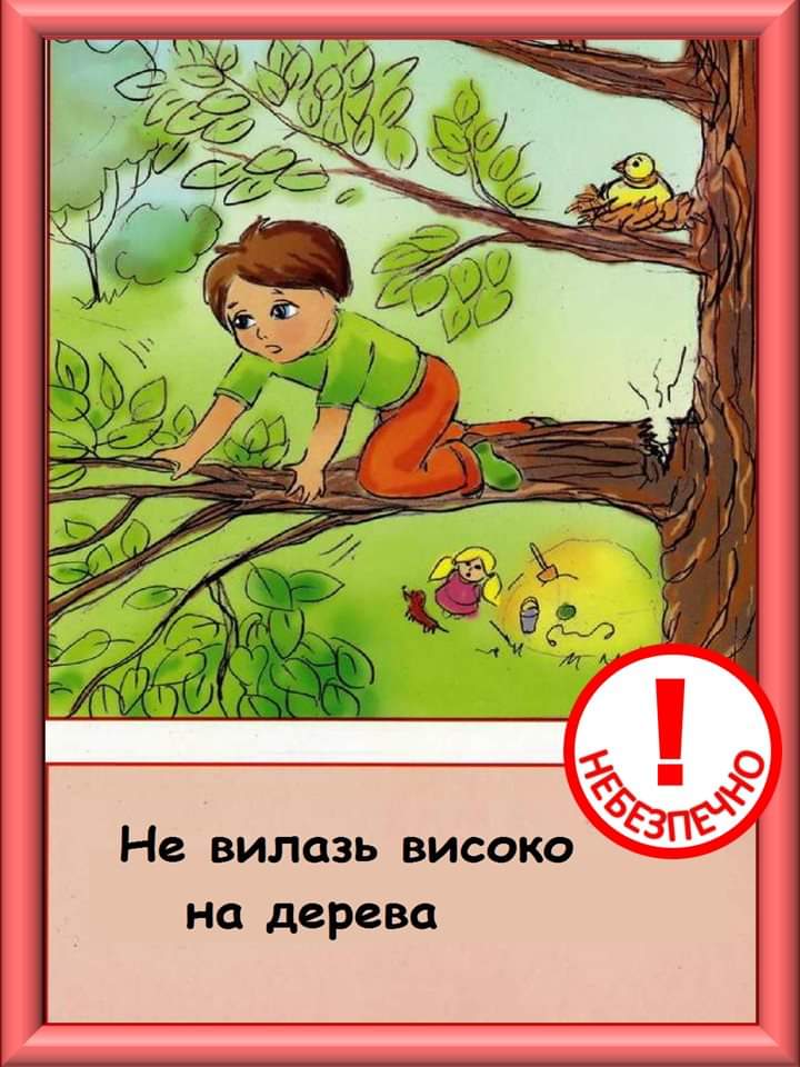 Правила безопасности на природе для детей в картинках