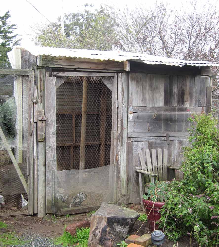 Concrete pour for new chicken coop today Lloyd's Blog