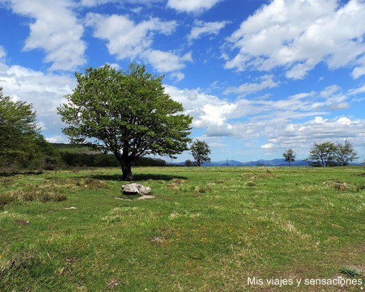 Paisajes Monte Santiago, Salto del Nervión