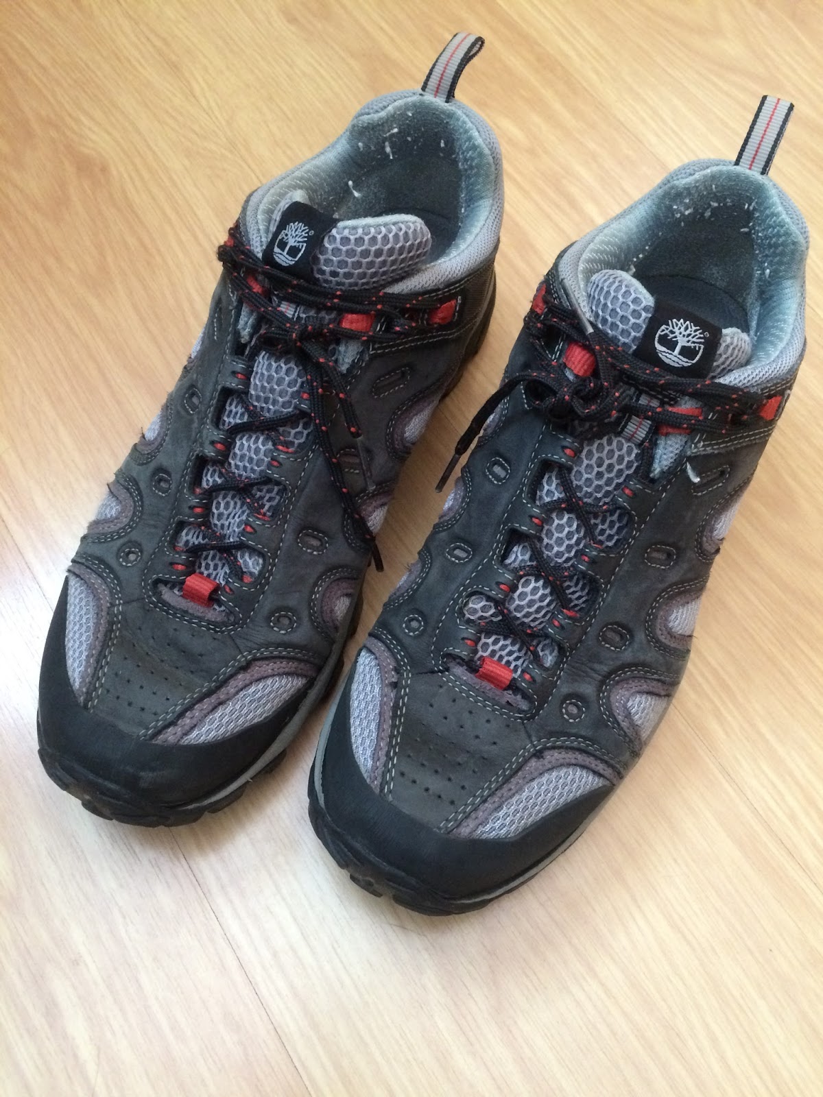 bull terrier ou timberland