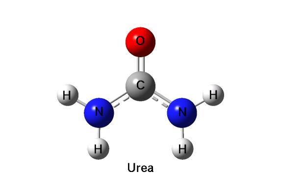 Will Low Carb High Fat Diet Increase Blood Urea Levels and Cause Kidney Failure ?