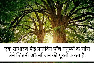 amazing facts in hindi about nature