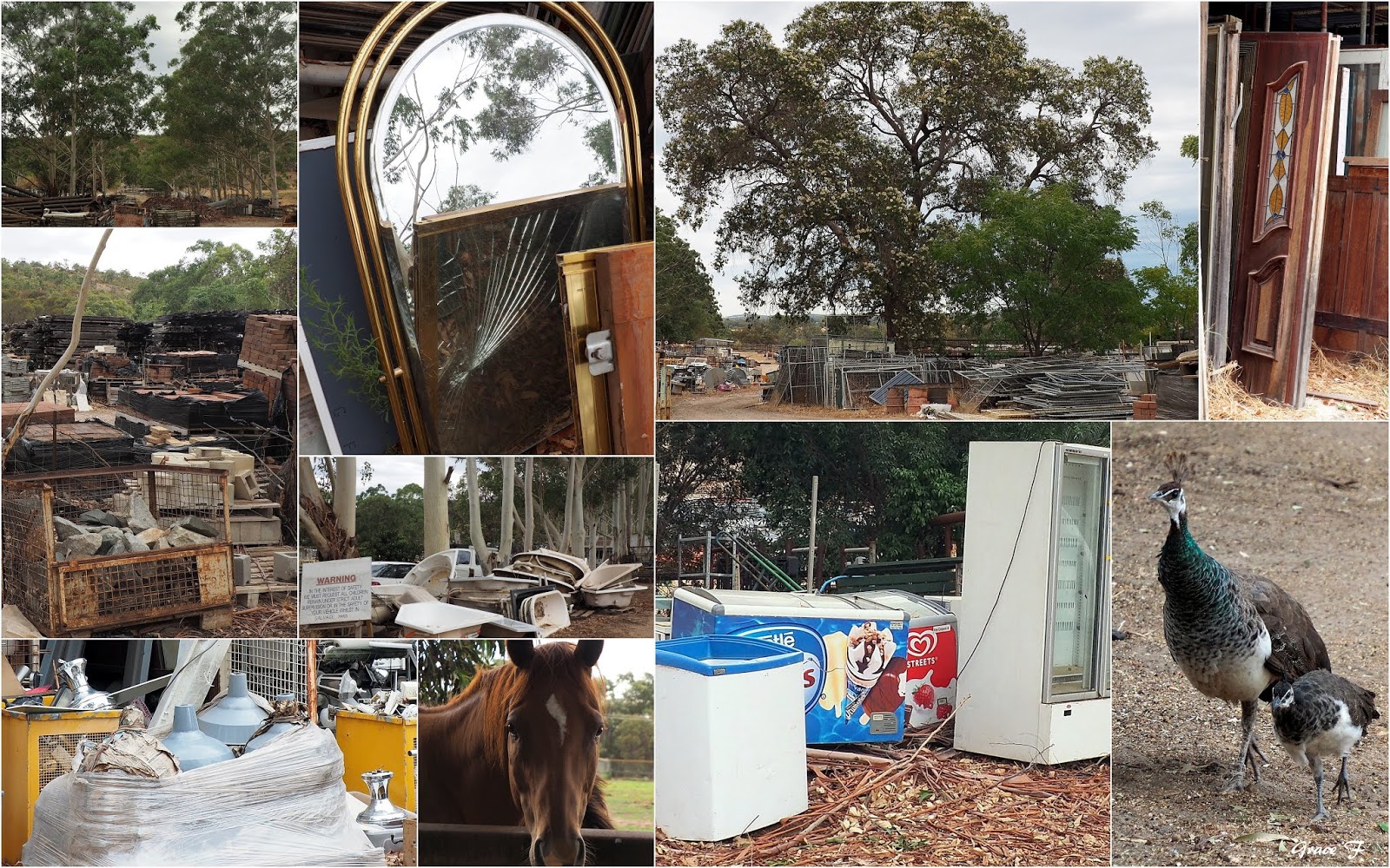 Perth Daily Photo Salvage value..