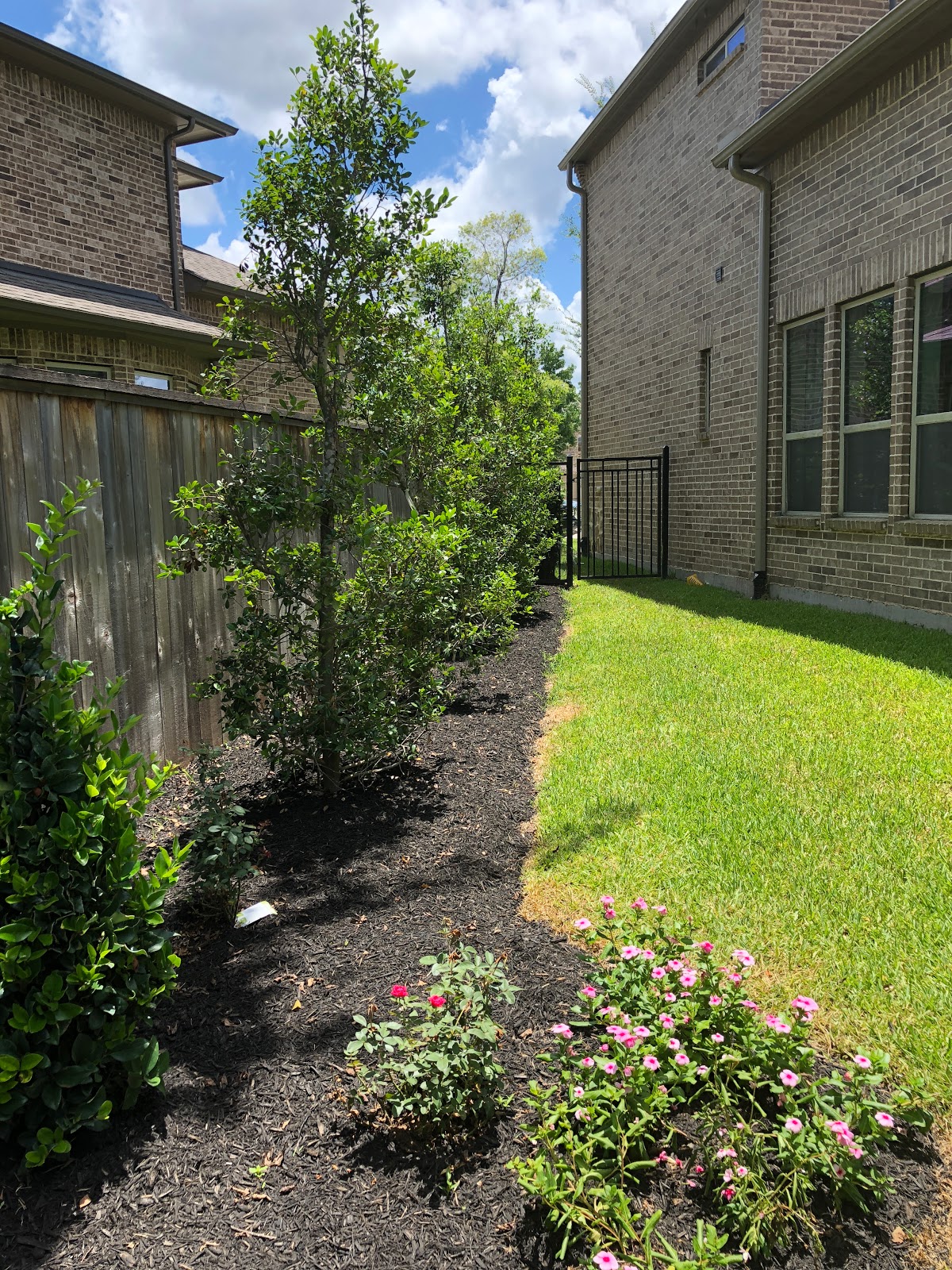 Front Yard Landscaping Lawneq Blog