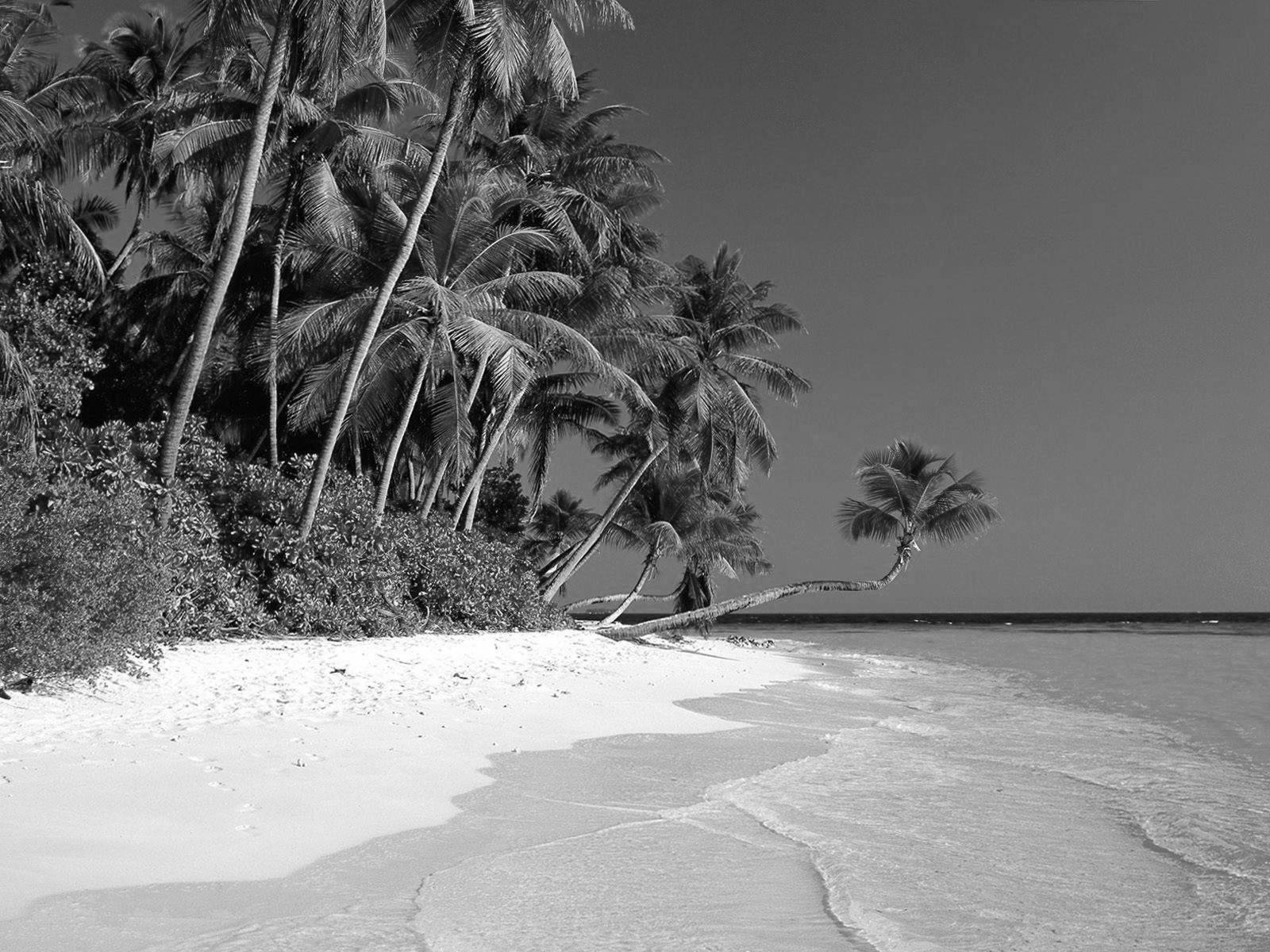 http://1.bp.blogspot.com/-oGyj1vE31XE/UMTz7iI58lI/AAAAAAAABuY/qWB0xMWI4yU/s1600/Black+and+White+Beach+Landscape+Wallpaper+HD+%25282%2529.jpg