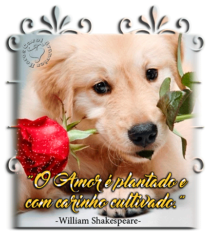 amor.gif