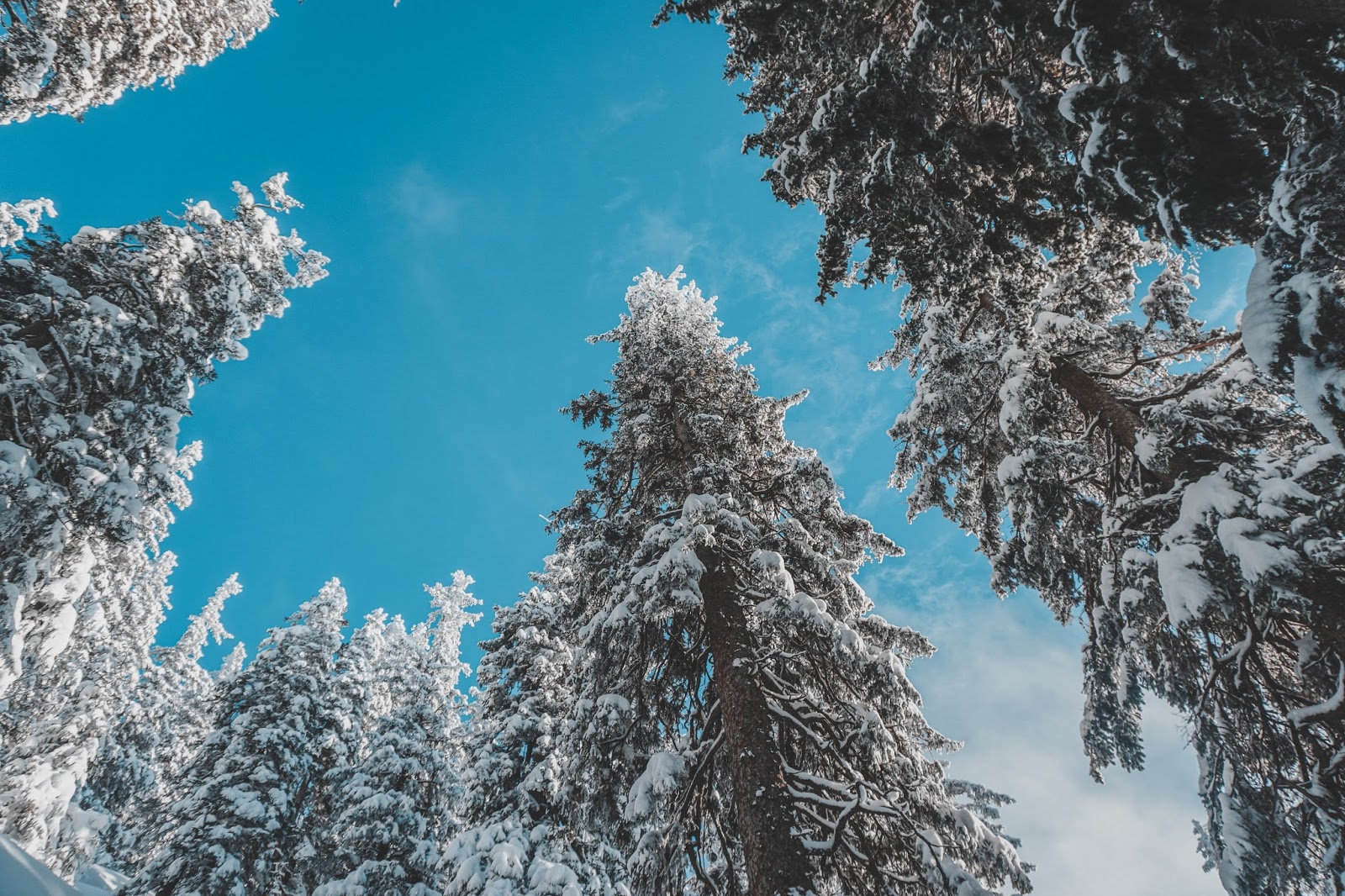 Winter trekking in Austria - Hochlantsch mountain trekking routes near Graz, visitgraz, Graz tourismus, Graz trekking, winter trekking in Austria, Hochlantsch, Mixnitz, lifestyle blog Austria, Hochlantsch summit
