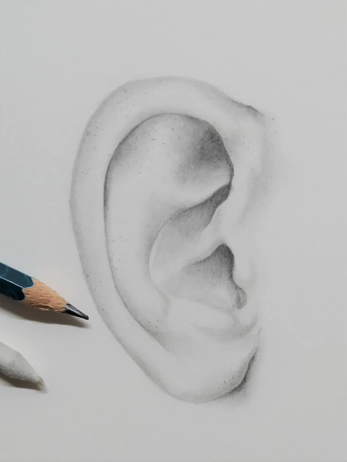 8 Easy Steps To Draw Realistic Ears Unique Art Blogs