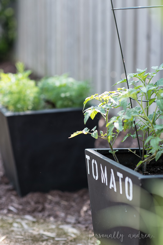Chalkboard Style Garden Containers