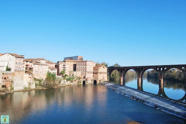 Puente Nuevo de Albi, Francia