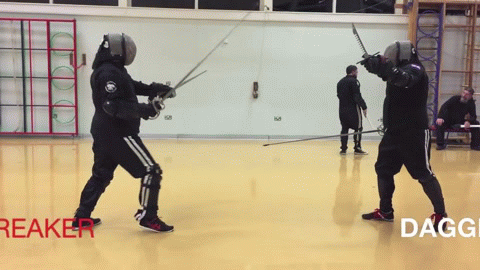 1510038090185556025.gif