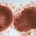 The COVID-19 Virus May Have Been in Humans For Years, Study Suggests