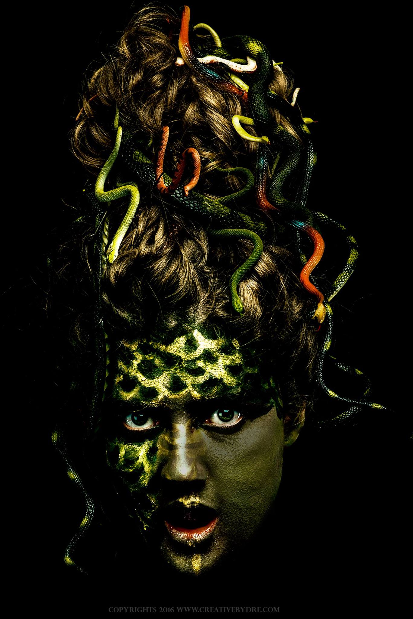 Demo for tailwind blog cms - choose a business / themes and see how tailwind blog cms works flawlessly