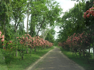 Ramsagar National Park