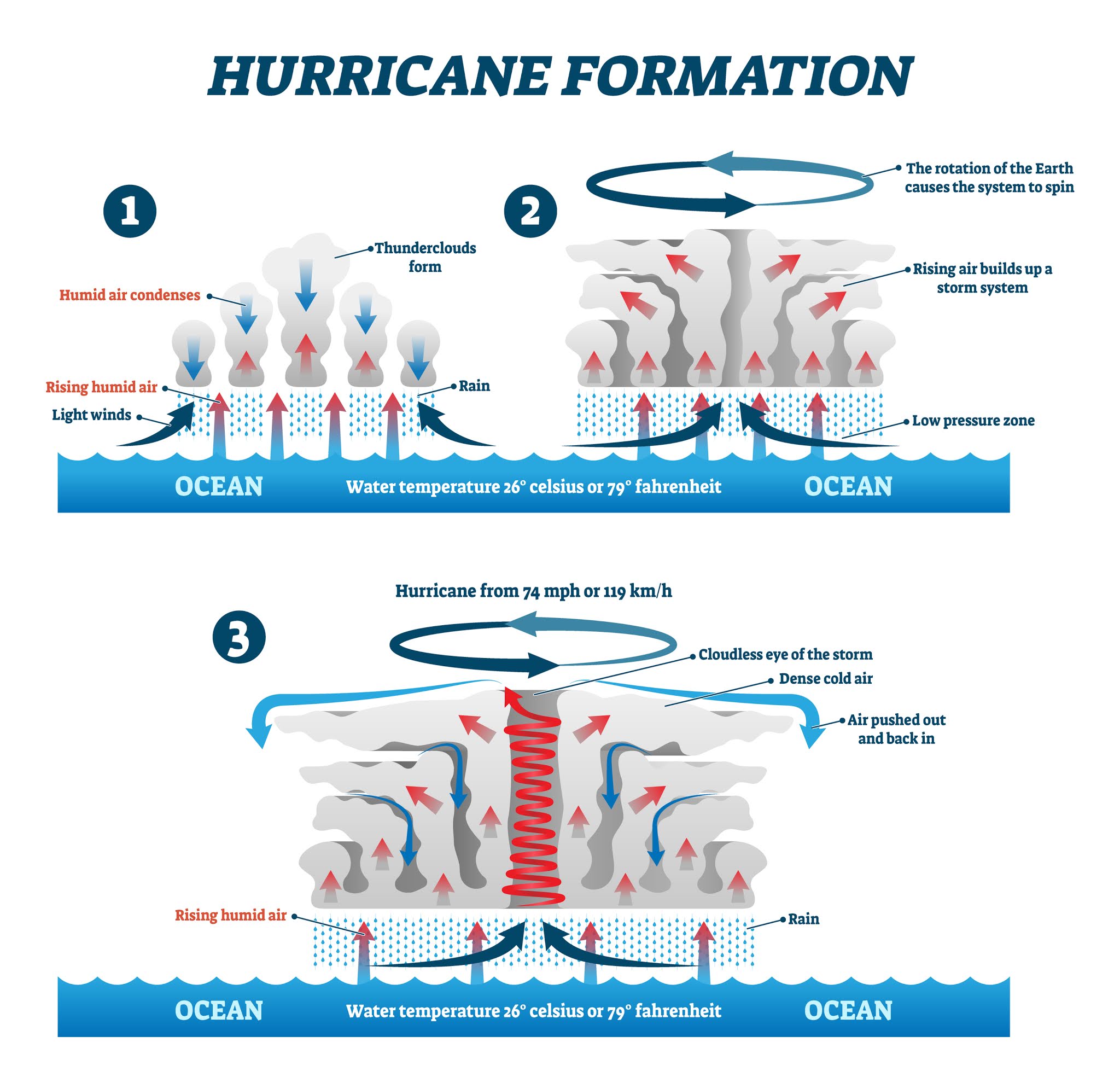 Anatomy Of A Hurricane Diagram