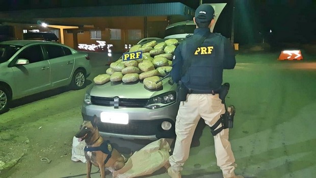 Polícia apreende mais de 30 kg de maconha com ajuda de cão farejador, em Pernambuco