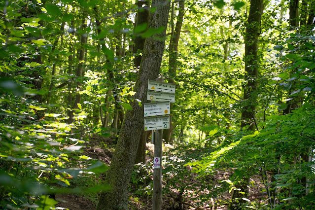 Grenzlandtour Schweigen-Rechtenbach | Bad Bergzaberner Land | Wandern Südliche Weinstraße 15