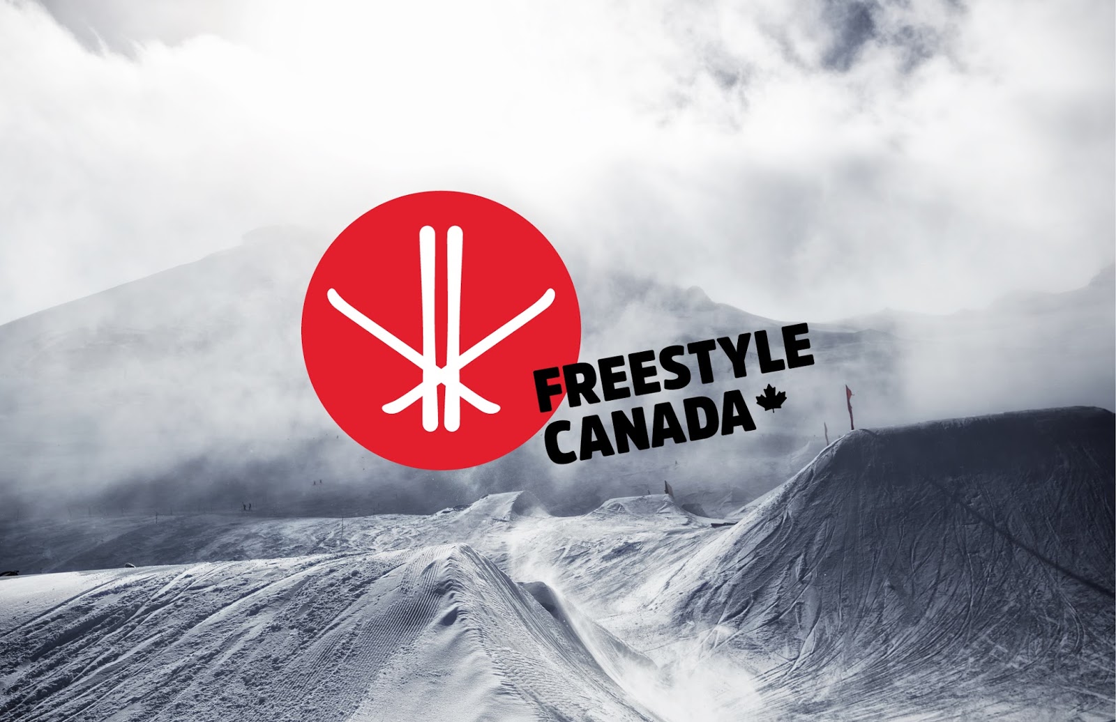 Following a competitive pitch, the Canadian Freestyle Ski Association