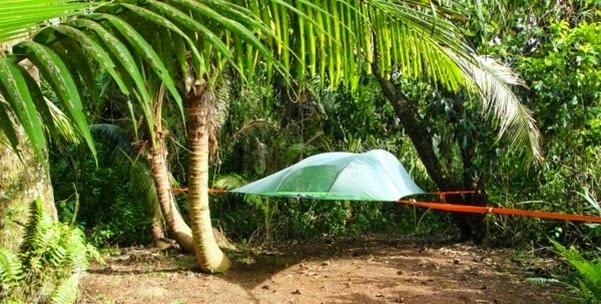 Original and lightweight structures for camping comfortably