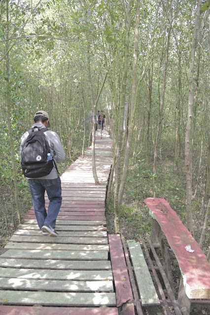 Mempawah Mangrove Conservation, Memadukan Lokasi Wisata dengan Edukasi dan Konservasi Mempawah Mangrove Conservation, Memadukan Lokasi Wisata dengan Edukasi dan Konservasi